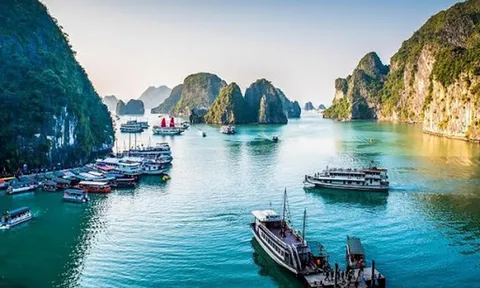Quảng Ninh tạm dừng đón khách tham quan Vịnh Hạ Long từ ngày 12/3