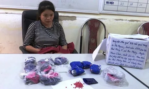 Bắt quả tang 1 phụ nữ vận chuyển trái phép chất ma túy với số lượng lớn