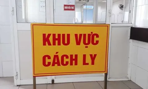 Việt Nam ghi nhận 113 ca mắc Covid-19