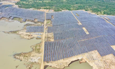 T&T Group đồng loạt hòa lưới điện 3 nhà máy điện mặt trời