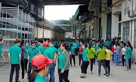 TP.HCM: Nổ bình gas máy lạnh công ty giày, một người bị thương