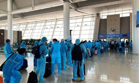 Thông tin về việc đưa công dân về nước dịp Tết Tân Sửu