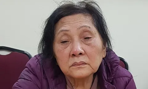 Bắt giữ cụ bà 74 tuổi gây ra hàng loạt vụ trộm cắp ở Hải Phòng