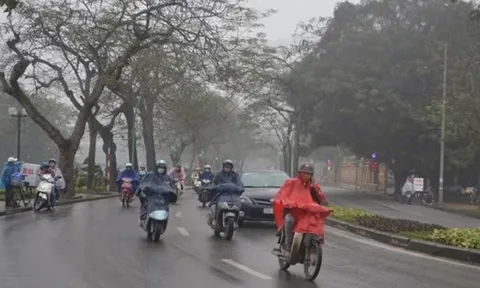 Dự báo thời tiết hôm nay (31/1): Hà Nội mưa rét
