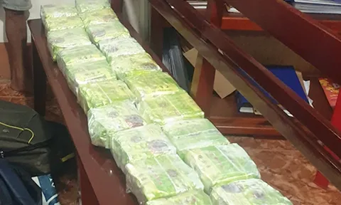 Đồng Nai: Triệt phá đường dây, thu giữ 20 kg ma túy đá