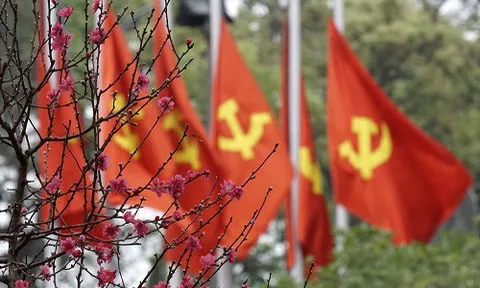 Xuân Tân Sửu: Xuân cất cánh