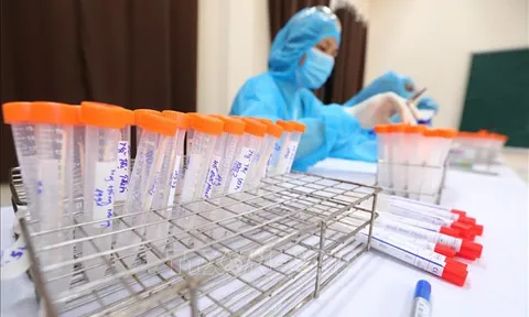 Chiều 23/2, Quảng Ninh và Hải Dương có thêm 6 ca mắc mới COVID-19 trong cộng đồng