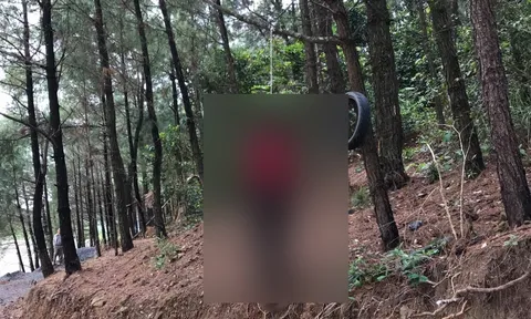 Phát hiện thi thể nam thanh niên treo cổ trên cây thông trong rừng
