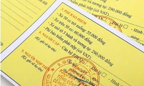 Những chính sách mới có hiệu lực từ tháng 3/2021: Kéo dài thời hạn bảo hiểm xe máy bắt buộc tối đa 3 năm