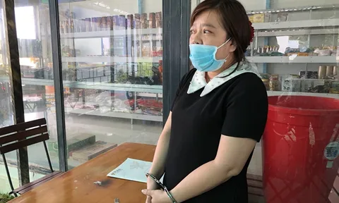 Bắt tạm giam nữ Giám đốc lừa đảo chiếm đoạt hơn 5 tỷ đồng