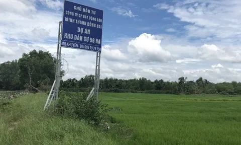 Khởi tố vụ án liên quan con gái ông chủ Tập đoàn Tân Hiệp Phát