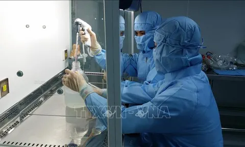 Sáng 23/3, Việt Nam không có ca mắc mới COVID-19; thêm 36.082 người được tiêm vaccine
