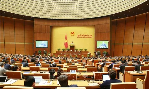 Hôm nay 25/3, Quốc hội tiếp tục nghe trình và thảo luận tại tổ về các báo cáo công tác nhiệm kỳ 2016-2021