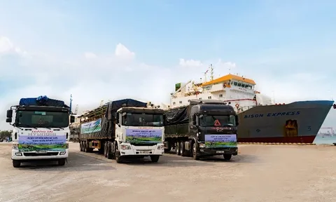 Vinamilk nhập khẩu hơn 2.100 bò sữa HF thuần chủng từ Mỹ về trang trại mới tại Quảng Ngãi