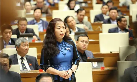 Đánh giá cao nỗ lực, trách nhiệm của Chủ tịch nước, Chính phủ trong nhiệm kỳ 2016-2021