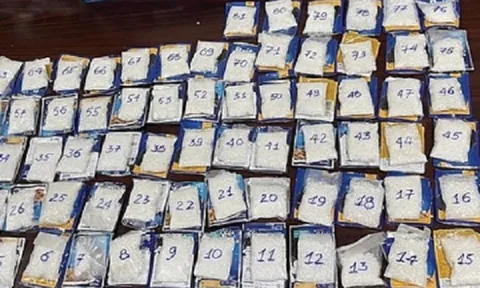 TP.HCM: Phát hiện 4kg ma túy giấu trong gói thức ăn cho mèo ở sân bay Tân Sơn Nhất
