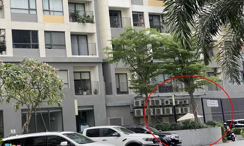 Người nước ngoài rơi từ tầng cao chung cư ở TP.HCM xuống đất tử vong