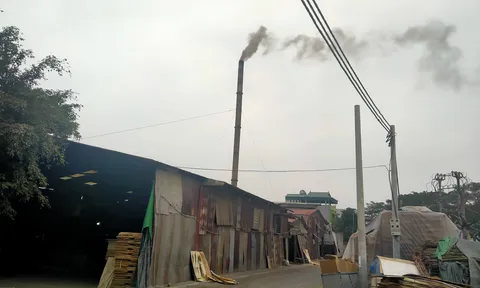 Gia Lâm (Hà Nội): Cơ sở gỗ ép Lâm Hùng hoạt động gây ô nhiễm môi trường