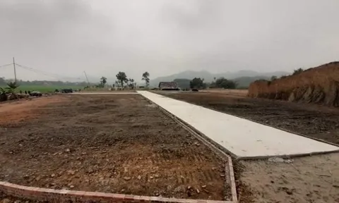 Hạ Hòa (Phú Thọ): San hạ cốt nền trái phép, phân lô đất ở để bán