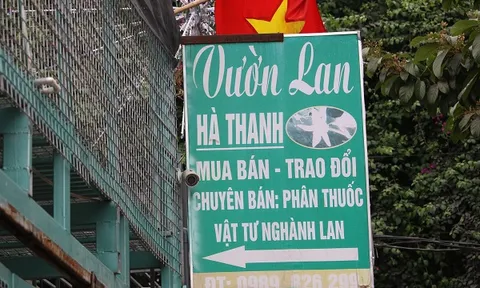 Công an Hà Nội lên tiếng về vụ chủ vườn lan 'ôm' 11 tỷ đồng bỏ trốn