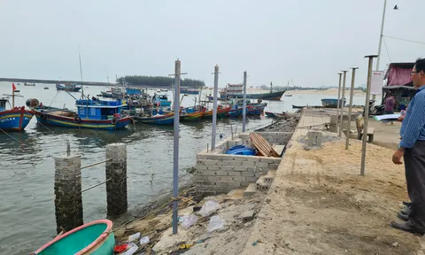 Bà Rịa - Vũng Tàu: Ban quản lý Cảng cá bất chấp chỉ đạo từ Sở NN&PTNT
