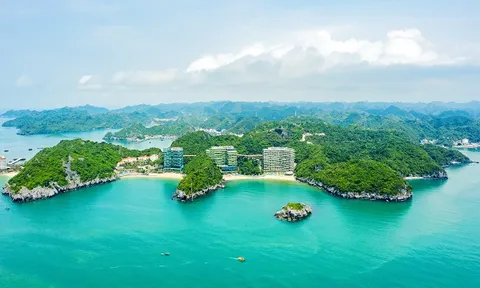 Bật mí lý do Flamingo Cát Bà được khách du lịch săn đón