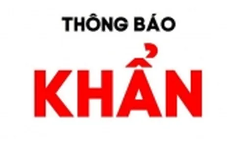 Khẩn: Bộ Y tế thông báo tìm người trên chuyến bay VJ3613 từ Nhật Bản về Đà Nẵng ngày 7/4