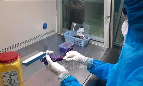 Chiều 30/4, Việt Nam ghi nhận thêm 4 ca mắc mới COVID-19 trong cộng đồng