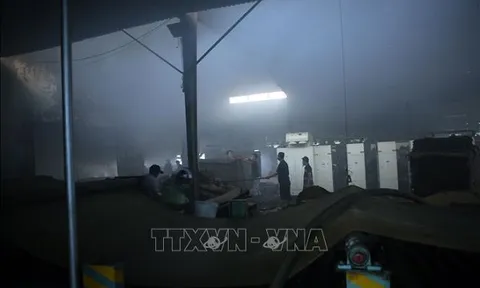 Đà Nẵng: Công ty sản xuất bao bì bốc cháy dữ dội