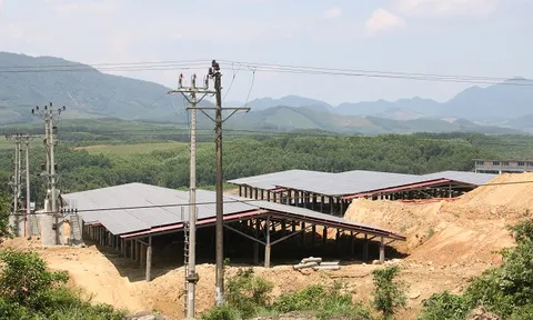 Hà Tĩnh: Hàng loạt dự án điện mặt trời lách luật, hưởng ưu đãi của Chính phủ