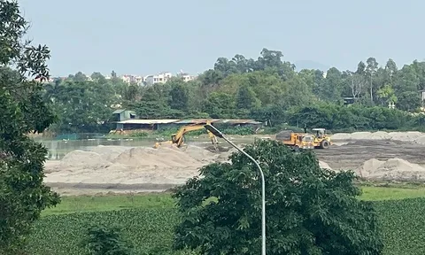Đông Anh - Hà Nội: Công ty Thanh Bình san lấp ruộng của dân làm dự án khi chưa được giao đất?