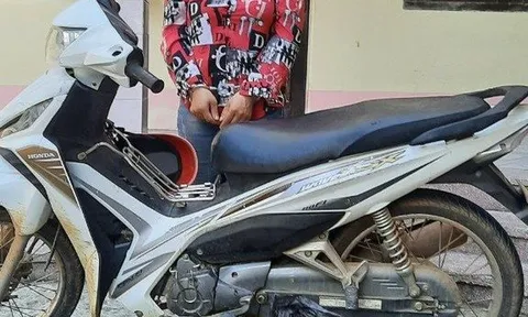 Bắt quả tang đối tượng vận chuyển trái phép động vật hoang dã đi tiêu thụ ở Thanh Hoá