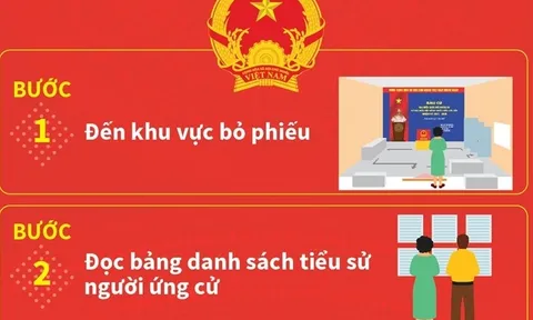 Quy trình 6 bước cử tri thực hiện khi đi bầu cử