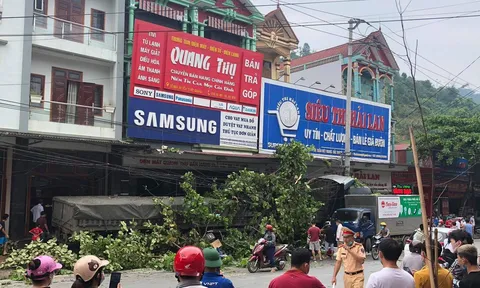 Tránh 2 người sang đường, container lao lên vỉa hè tông 13 xe máy
