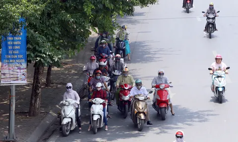 Dừng đèn đỏ dưới tán cây tránh nắng nóng có thể bị phạt đến 300.000 đồng?