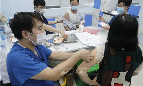 Chiều 24/6, Việt Nam có 116 ca mắc mới COVID-19, trong đó Hải Phòng có 1 ca