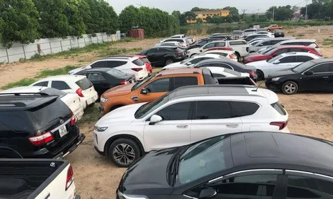 Triệt phá ổ nhóm tiêu thụ gần 100 ô tô 'gian' ở Hà Nội