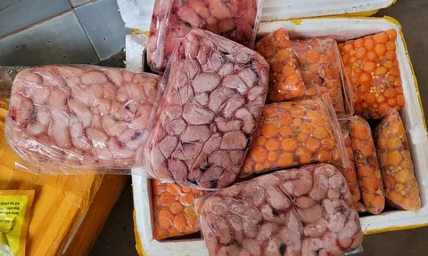 Hà Nội: Phát hiện 10 tấn nội tạng động vật bốc mùi hôi thối chở vào miền Nam tiêu thụ
