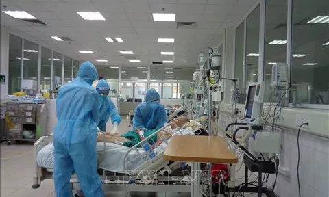 Thêm 5 ca COVID-19 tử vong, 4 ca không có bệnh lý nền