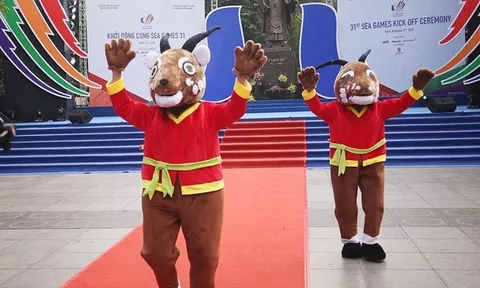 SEA Games 31 bị hoãn sang năm 2022 vì dịch COVID-19