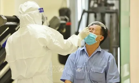 Hà Nội thêm 7 ca dương tính với SARS-CoV-2, tổng số 94 ca tính từ ngày 5/7