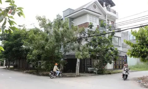 Bắt tạm giam ông Ngô Xuân Trường, Giám đốc Công ty Đại Hải