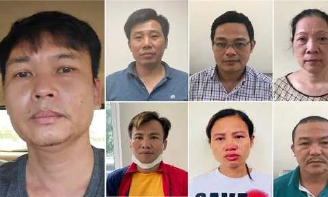 Khởi tố Tổng giám đốc Công ty Công viên cây xanh Hà Nội vì nâng khống giá cây