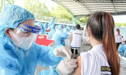 Đợt vaccine AstraZeneca số lượng lớn nhất về đến Việt Nam