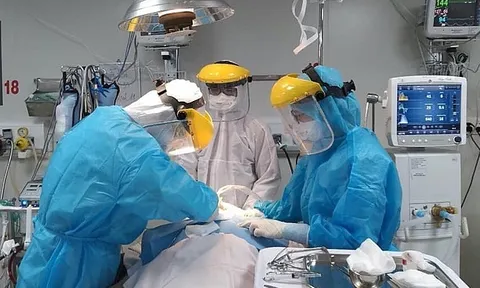 Sáng 28/8: Có 198.614 bệnh nhân COVID-19 khỏi; 985 ca đang thở máy và ECMO