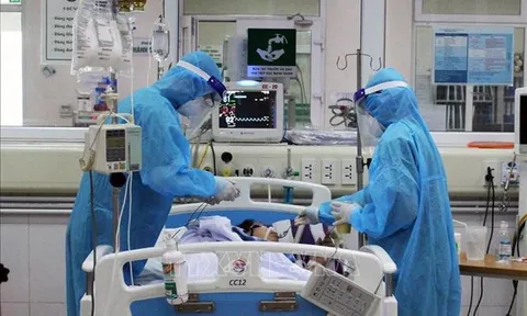 Hợp tác thử nghiệm lâm sàng giai đoạn 3 và chuyển giao công nghệ sản xuất kháng thể đa dòng XAV-19 điều trị COVID-19 của Pháp cho Việt Nam