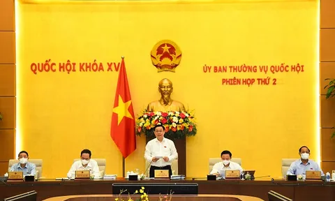 UBTVQH xem xét, quyết định miễn, giảm thuế; phê chuẩn bổ nhiệm nhân sự