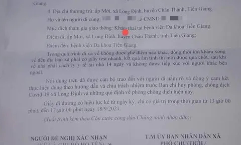 Cấp giấy đi đường với lý do tới bệnh viện 'khám thai' cho cụ ông 85 tuổi