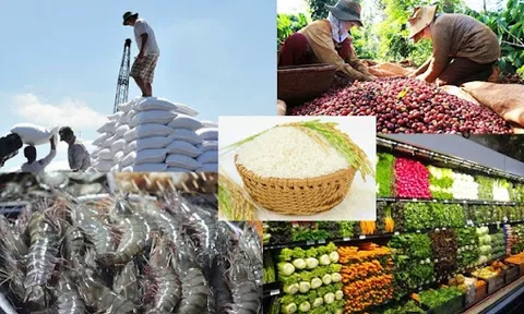 Thủ tướng Chính phủ chỉ đạo thúc đẩy sản xuất, lưu thông, XK nông sản