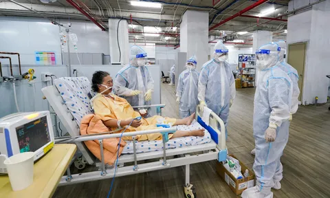 Sáng 15/10: Đã có hơn 785.100 bệnh nhân COVID-19 ở nước ta khỏi; thế giới vượt 240 triệu ca mắc